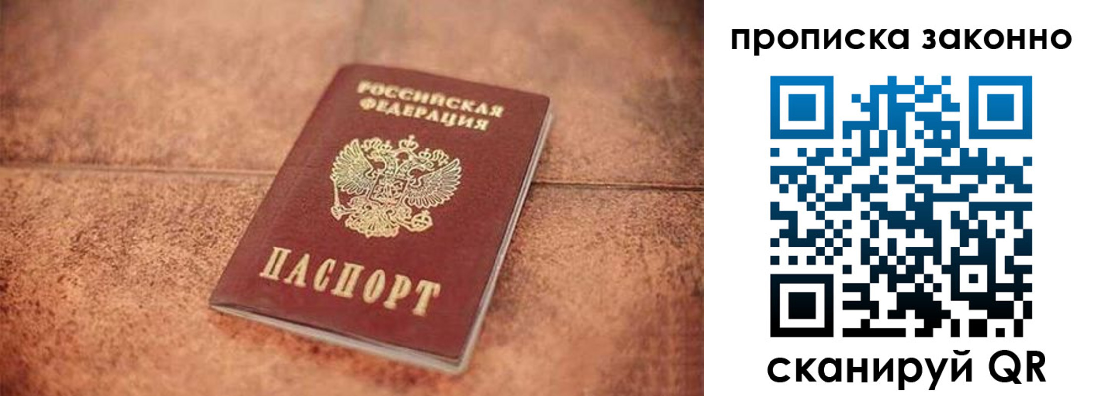 прописка 2025 в Борзе